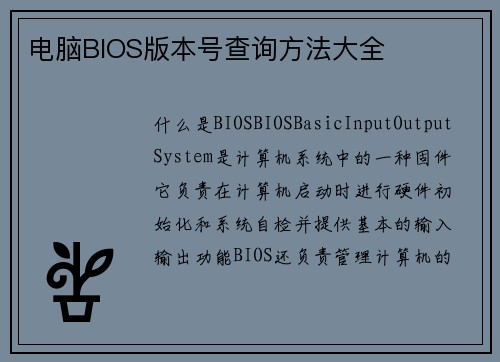 电脑BIOS版本号查询方法大全